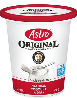 Astro original balkan yogourt container