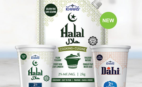 Halal and Dahi yogourt packaging