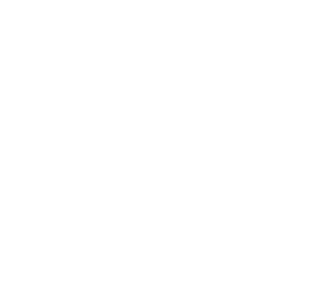 Shopping cart icon