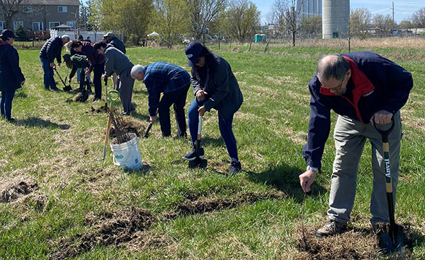 Un groupe d'individus plantant des graines dans un champ